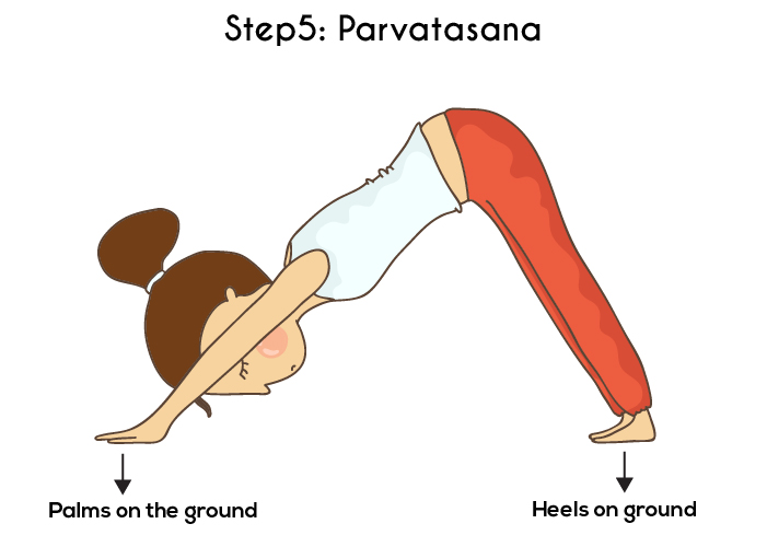 Step 5 - Parvatasana Or Mountain Pose - Surya Namaskar