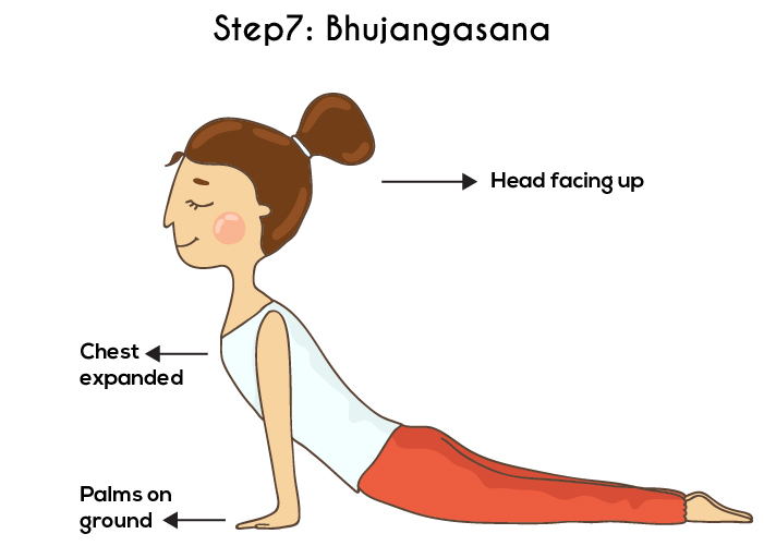 Step 7 - Bhujangasana Or The Cobra Pose - Surya Namaskar
