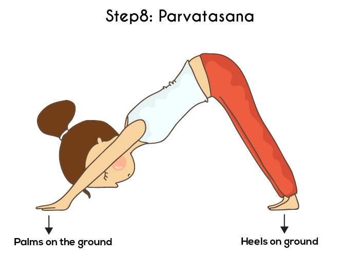 Step 8 - Parvatasana Or The Mountain Pose - Surya Namaskar