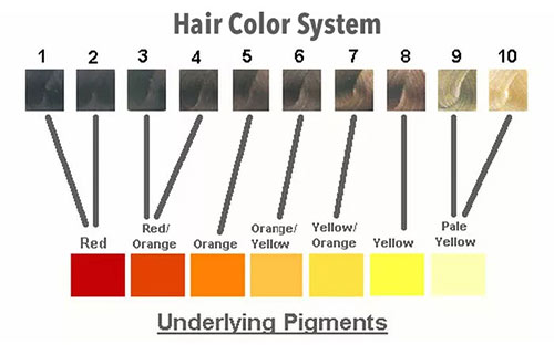 Why Does Hair Turn Orange