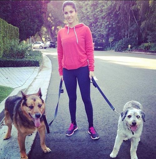 9. Sunny Leone With Her Pets